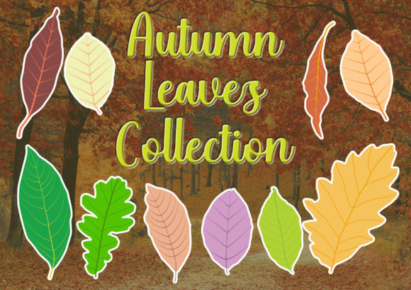 Autumn Leaves Collection: Elevate Your Seasonal Designs with Ease