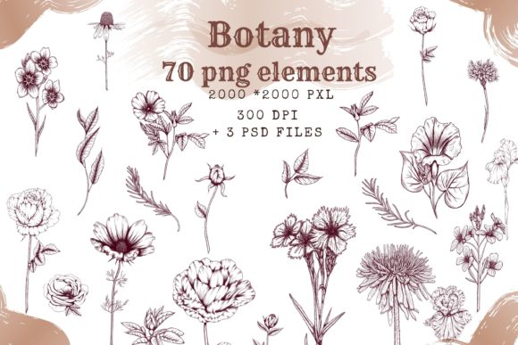 Botanical Aesthetic Clipart: Integrating Nature into Your Creative Workflows